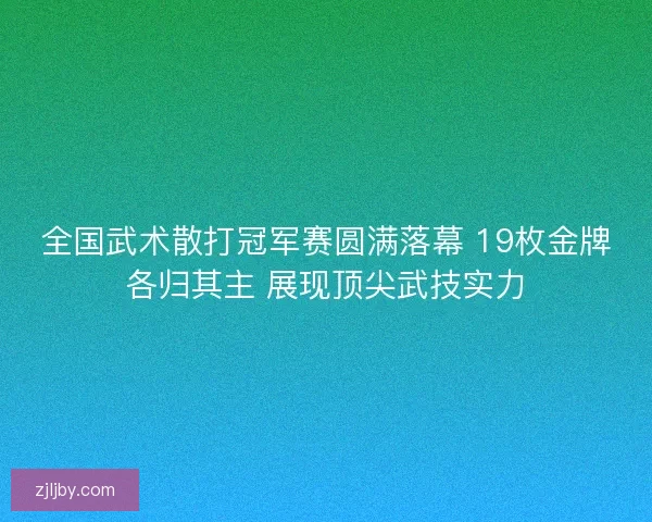 全国武术散打冠军赛圆满落幕 19枚金牌各归其主 展现顶尖武技实力